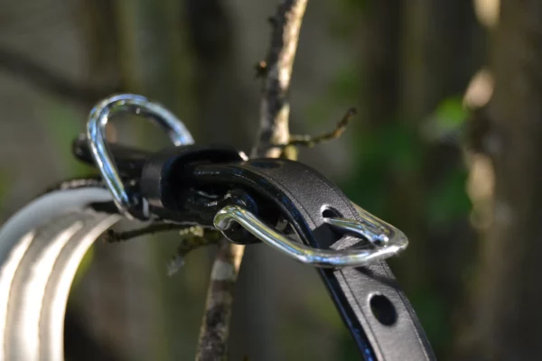 Collier pour chien, en cuir noir, matelassure blanche.
