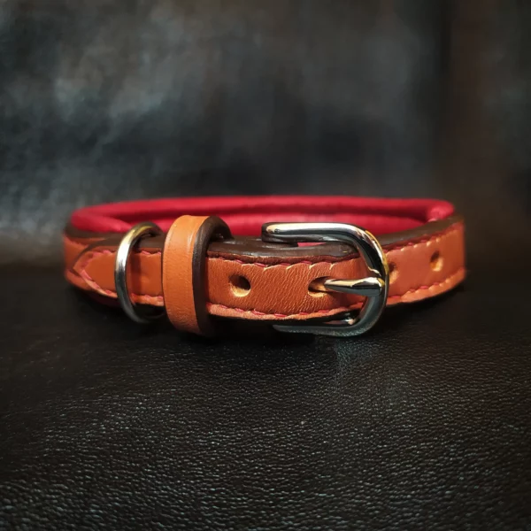 Collier matelassé chien – Image 5